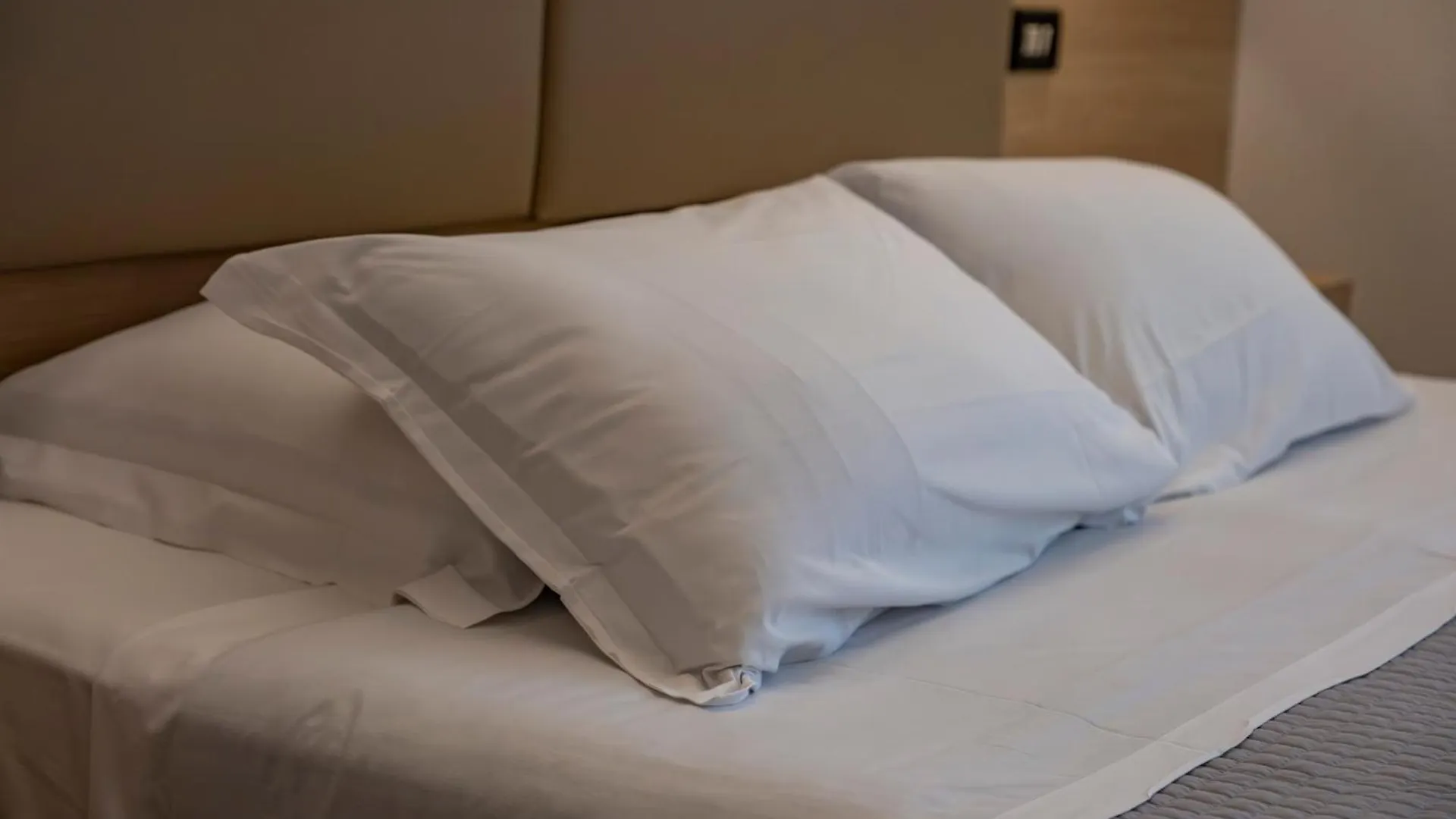 Hotel St Gregory Park Rímini